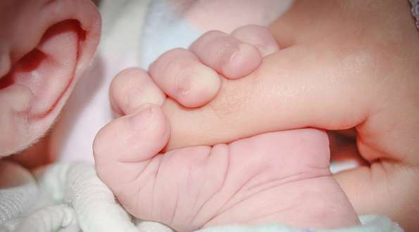 מי יגדל את התינוקת אשר נולדה מהפריה מוטעית?