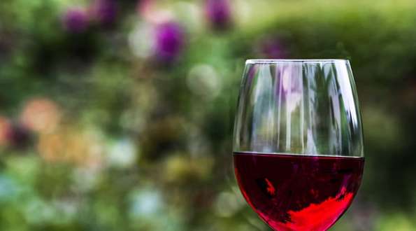 על מחיר יין איכותי של אוצר בית דין