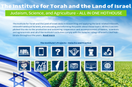 בקרוב במכון: מחלקה חדשה לדוברי אנגלית