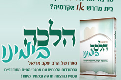 ניוזלטר אייר