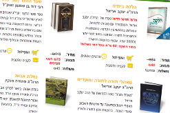 ניוזלטר אייר