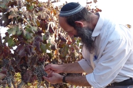 שמיטת כספים, מהפכה חברתית לאומית יהודית 
