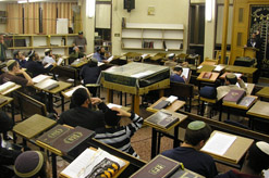 ניוזלטר טבת