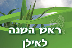 ניוזלטר שבט