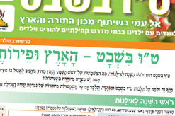 ניוזלטר שבט