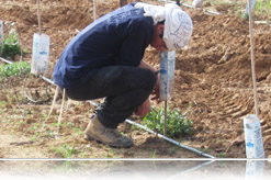 ניוזלטר שבט לחקלאים