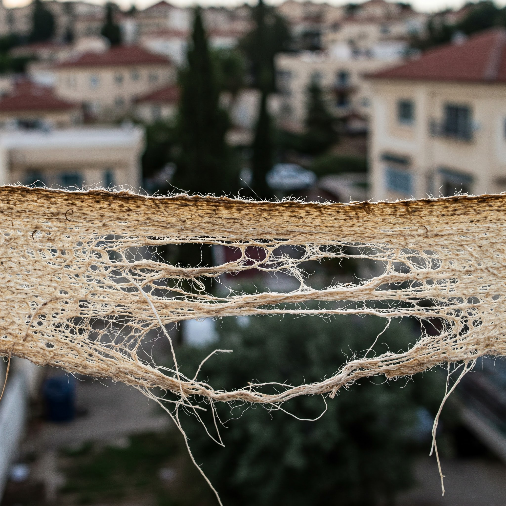 פרשת בראשית - כפרה על איסור דרבנן בשוגג