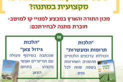 מעוניינים לקבל חוברת הדרכה מקצועית במתנה?