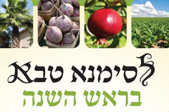 ביכורים תשרי