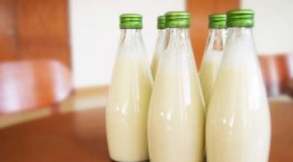 כשרותם של חלב ואבקת חלב עכו"ם