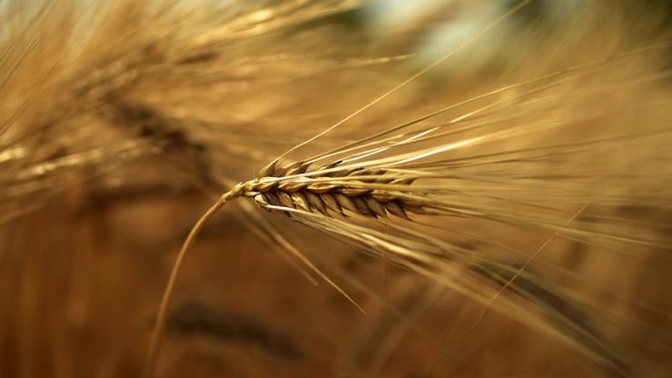 איסור "חדש" בימינו