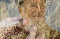 קרבה שנת השבע