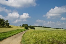 אופייה של מצוות השמיטה כיום
