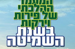 סדרת שיעורים לשמיטה