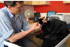 ביכורים אדר עה