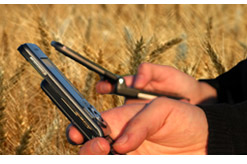 תזכורת ספירת העומר