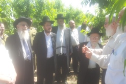 ביכורים סיוון עה