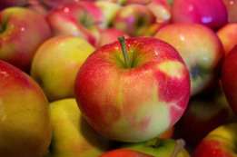 Image result for â«×¤×ר×ת ×©× ×××¨× ××××ת×â¬â