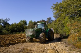 להנחלת ערכי השמיטה