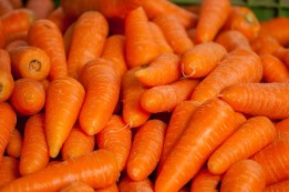 שמיטה מתוצרת עברית או מייבוא?