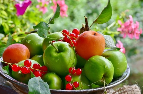 הפרשת תרומות ומעשרות מפירות ייצוא