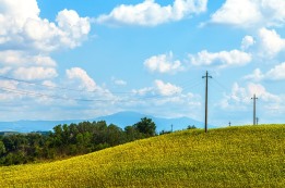 שמיטה תשס"א-ואנחנו