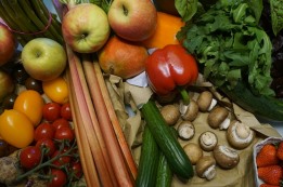 ביעור פירות שביעית במינים שפירותיהם מצויים בשדה כל השנה