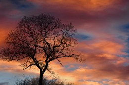 בעוון שמיטה גלו ישראל