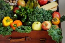 ביכורי יחיד וביכורי ציבור - חלק א'