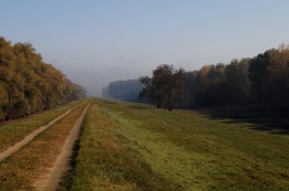 וידוי מעשר ובעלות על קרקע - חלק ב'