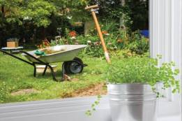 ספר חדש: הלכות הארץ