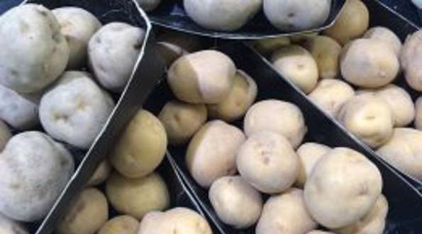 הפרשת תרומות ומעשרות מתפוחי אדמה במפעל אריזה