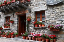 תופעת ה"חביתותים" מתפשטת, הרבנים נותנים תשובות