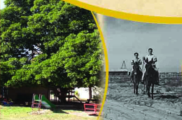 תיקון הסטורי: 70 שנה לשרשרת הגבורה מכפר דרום בתש"ח ועד ימינו