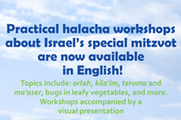 מחלקת אנגלית פותחת בסדרת הרצאות בשפה האנגלית