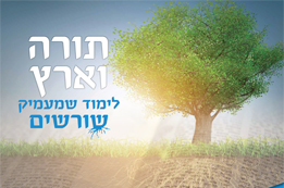 הצטרפות לתכנית תורה וארץ