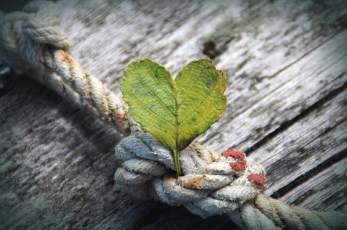 ט"ו באב - השבת השראת השכינה