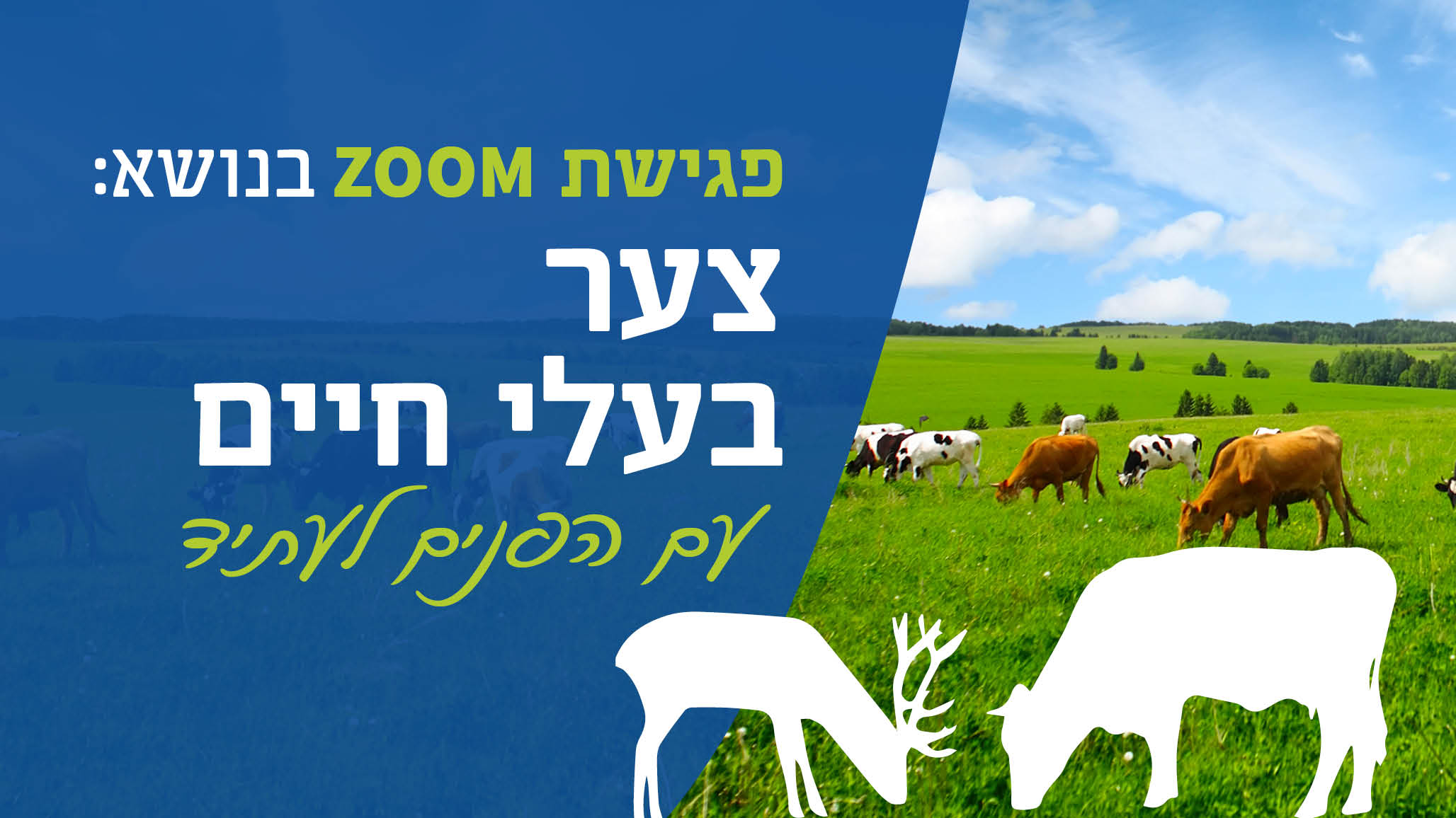 כנס צער בעלי חיים תש"פ