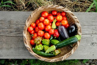 Whatsapp Image 2020 08 27 At 13.55.11