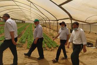 Whatsapp Image 2020 08 26 At 15.37.53