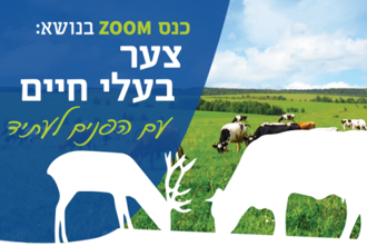 צער עלי חים מעודכן