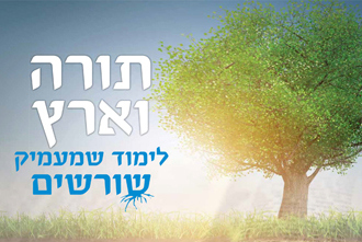 תורה וארץ 335