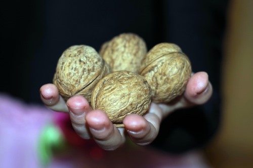 מתנות עניים ובניין בית המקדש