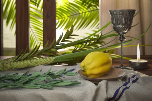 קין הוא הבל – קהלת, סוכות ופרשת 'בראשית'