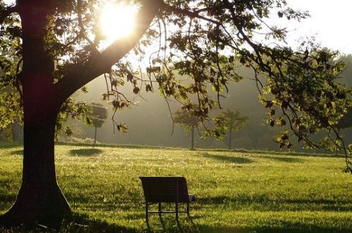 האם צרכים שאינם רפואיים שקולים לחיי נפש?