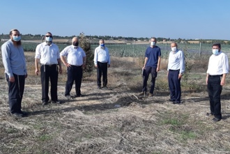 חלקת כלאיים