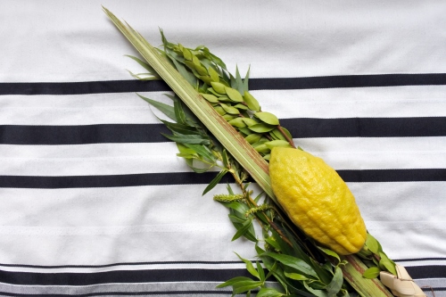 סדר נטילת לולב