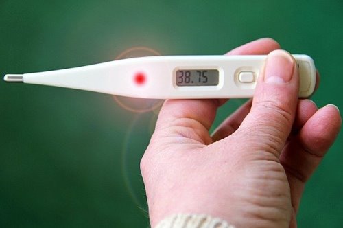 בדיקת חום בשבת