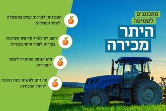 330 500היתר מכירה