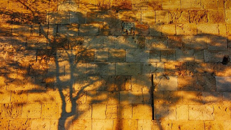 קשר א-לוהים- עם- ארץ- שיעור 1